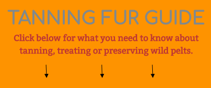 Resources - Tanning Fur